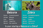 Unicorn Startups vs. Zebra Startups