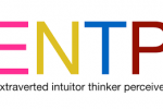 ENTP: An Entrepreneurial Personality