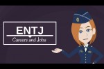 Career Choice for ENTJ Personality Type
